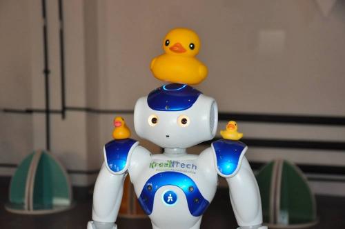 Robot Nao (13)